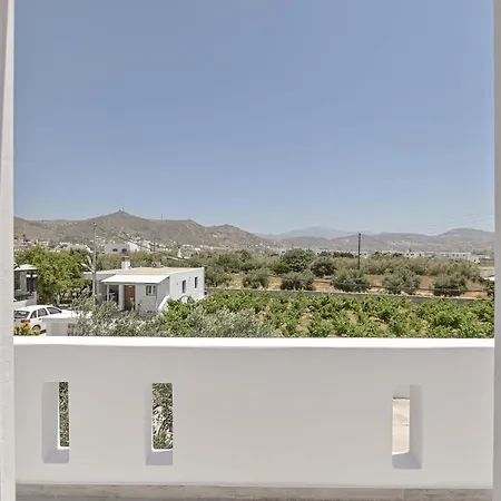 Elaion Naxos Town Holiday home Naxos City